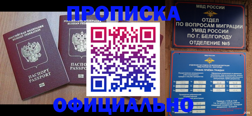 найти адрес прописки в Тынде